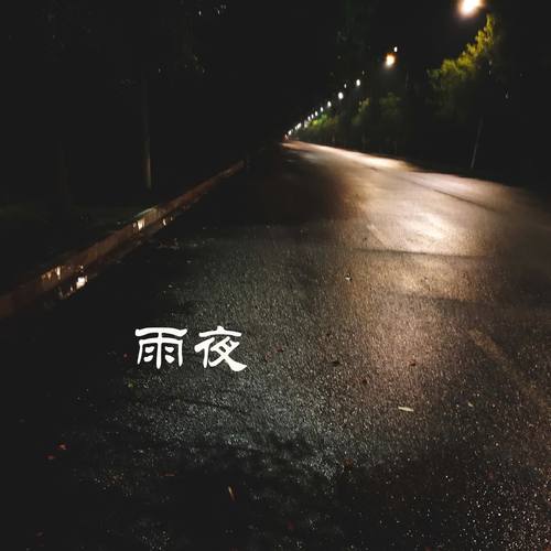 雨夜