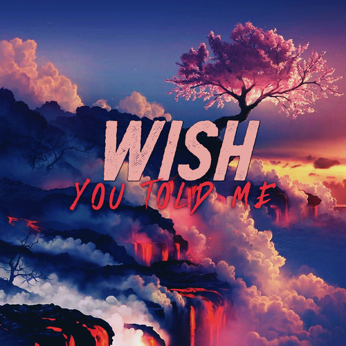 Wish You Told Me (Explicit)