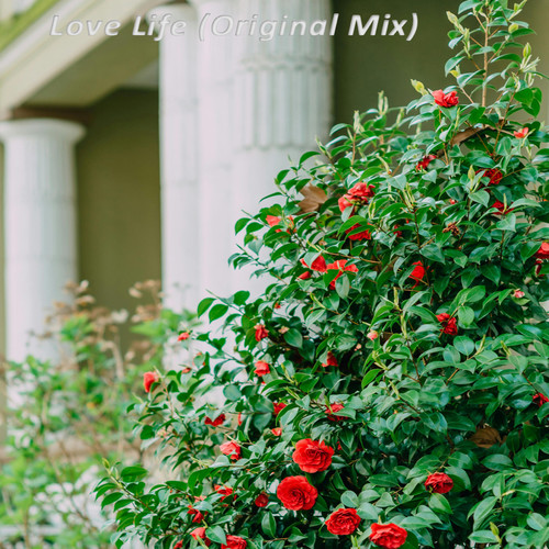 Love Life (Original Mix)
