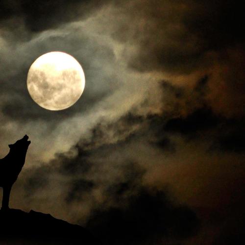 To The Moon (feat. Bando Ptz & Say Drilly) [Explicit]