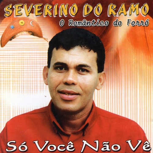 Só Você Não Vê (O Romântico do Forró)