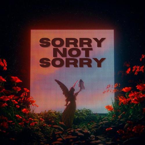 Sorry Not Sorry (Explicit)