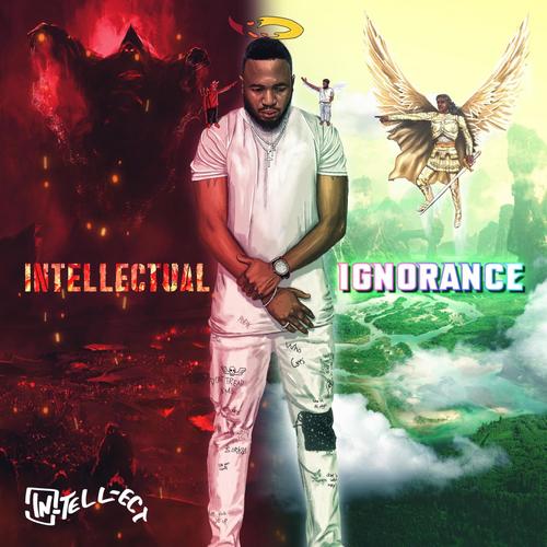 Intellectual Ignorance (Radio Edit)