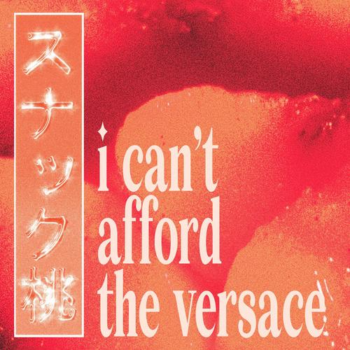i can't afford the versace (Explicit)