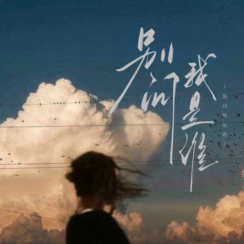 别问我是谁（民间阿宝）