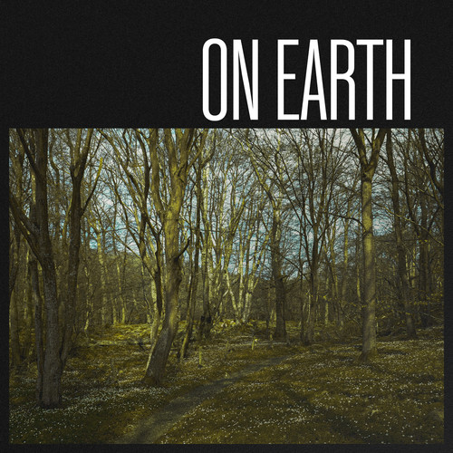 On Earth