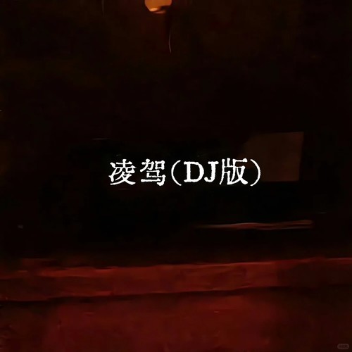 凌驾 (DJ版)