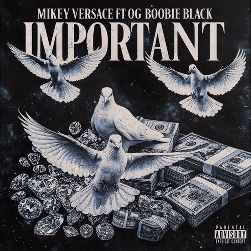 Important (feat. Og Boobie black) [Explicit]