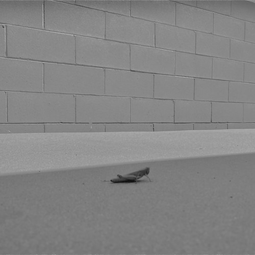 ANUDA1 (feat. Young Stoner) [Explicit]