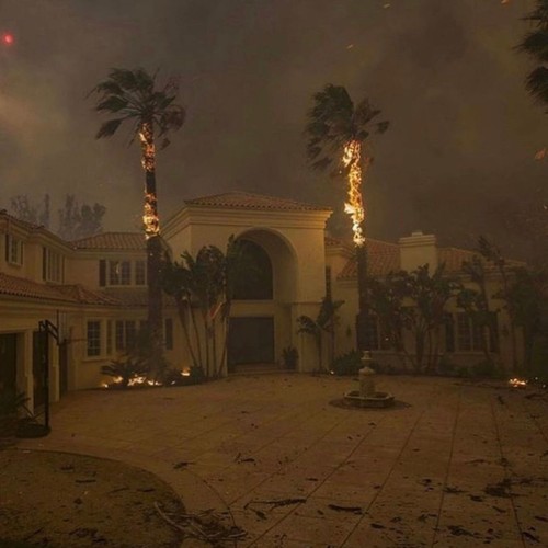 Palace (Explicit)
