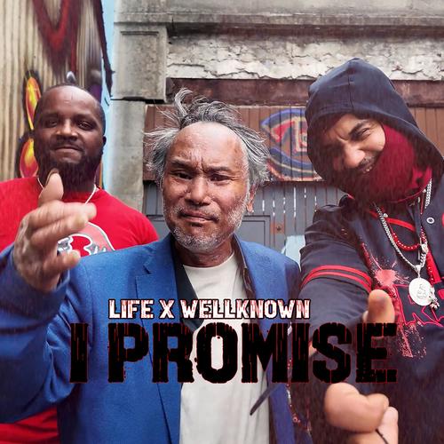 I Promise (feat. Wellknown) [Explicit]