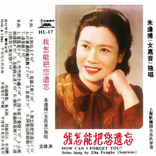 我怎能把您遗忘