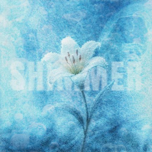 Shimmer (feat. Kiara Dupuis)