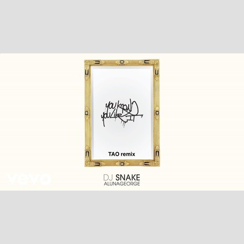 You Know You Like It ( TAO remix )