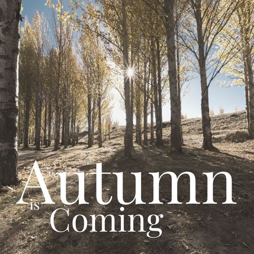 Autumn is Coming