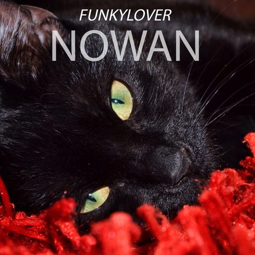 Nowan