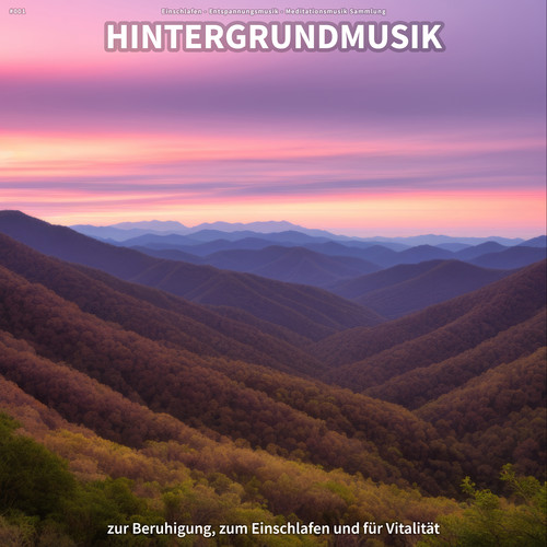 #001 Hintergrundmusik zur Beruhigung, zum Einschlafen und für Vitalität