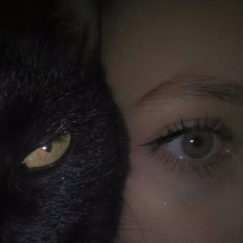 Rapin Ajdarı (Explicit)