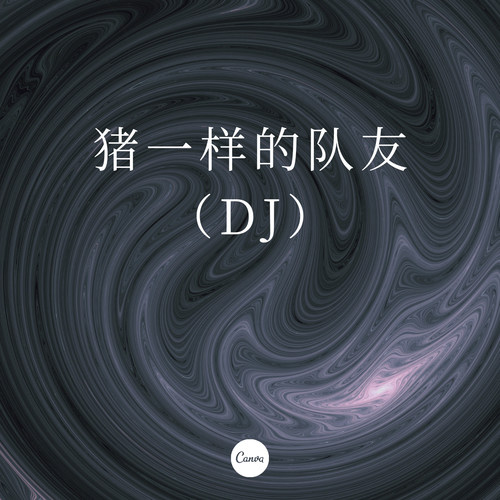 猪一样的队友（DJ）