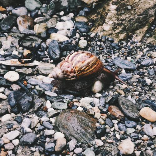 Last Summer Vacation