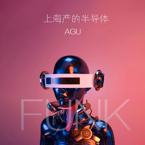 上海产的半导体