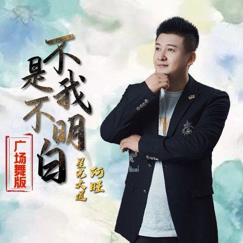 不是我不明白dj广场舞曲