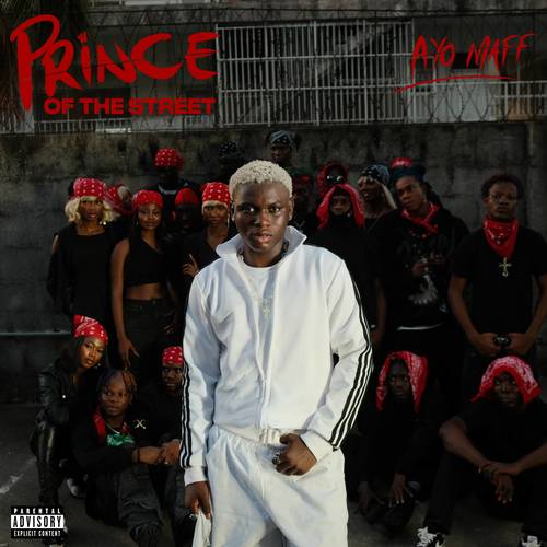 Prince of the Street (Explicit)