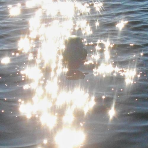 Split with A Recorded Dawn