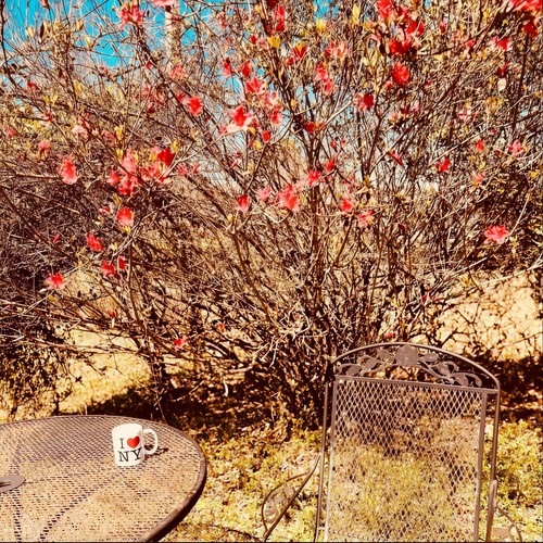 Landlocked (Band Version)