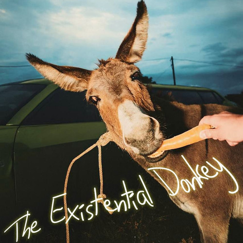 The Existential Donkey