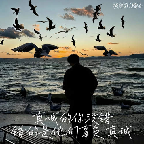 真诚的你没错 错的是他们辜负真诚