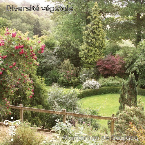 Diversité végétale