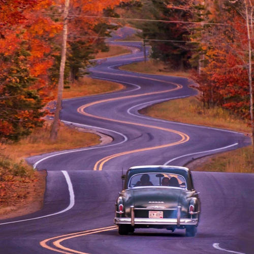 ** in the spot (feat. Bankhead Polo & Don Quan) [Explicit]