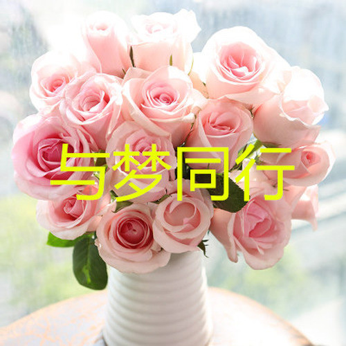 与梦同行