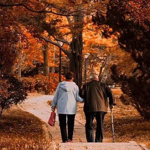 重拾旧时光 | 经典歌曲