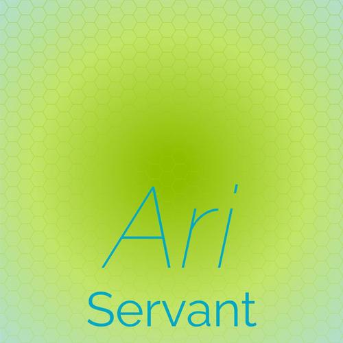 Ari Servant