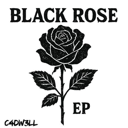 Black Rose