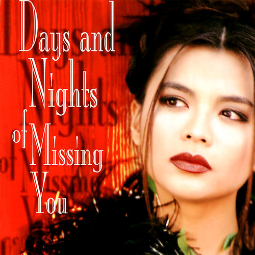 Days and Nights of Mising You (Shayla 2)