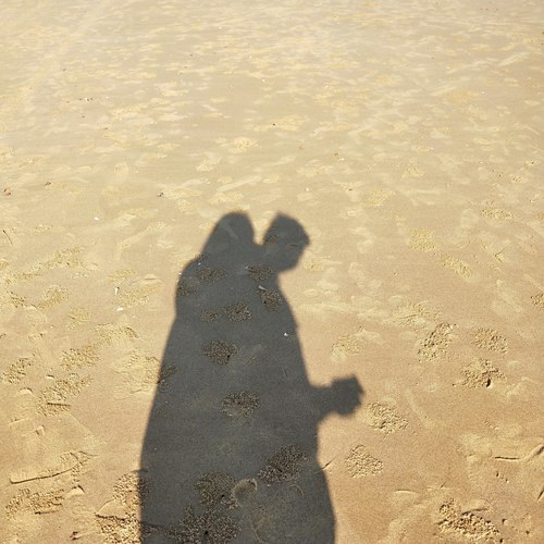 风替我亲吻你的脸