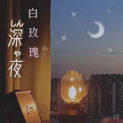 深夜白玫瑰