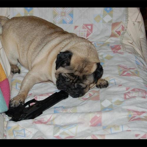 i really wanna off it (Explicit)