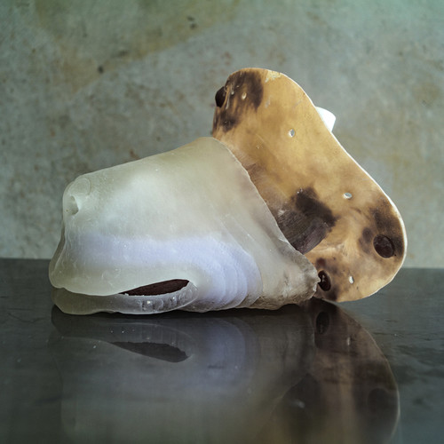 I Took Candy from a Baby