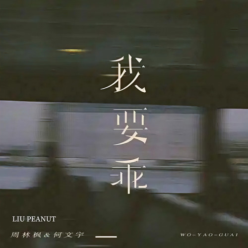 我要乖（Remix）