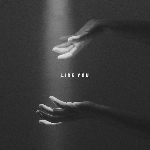 LIKE YOU