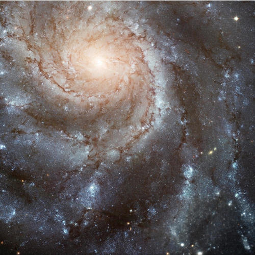 Some different (feat. HL Hoodie) [Explicit]