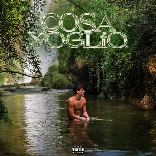 Cosa Voglio (VOLONTÀ)