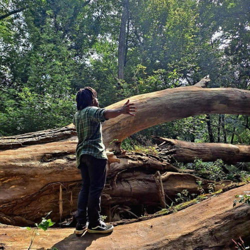 Manifest Abundance (feat. Logos)