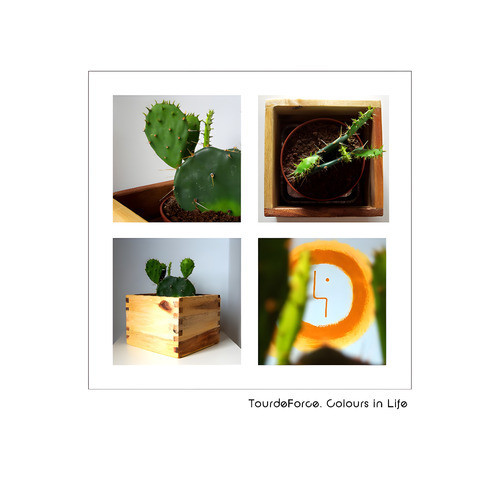 Colours in Life (Explicit)