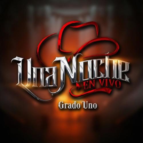Una noche en vivo