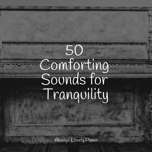 50 Soft Piano Melodies to Relax to